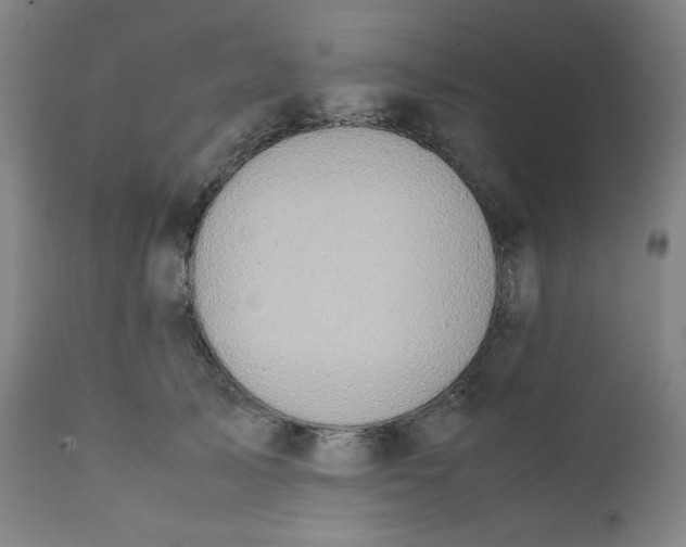 X0000111880705200908201257