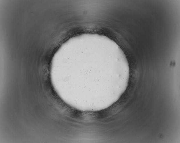 X0000111880707200908201257