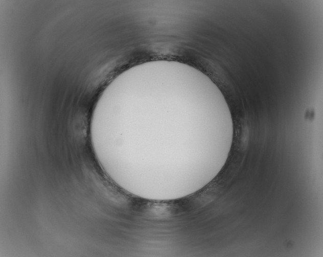 X0000111880710200908201257