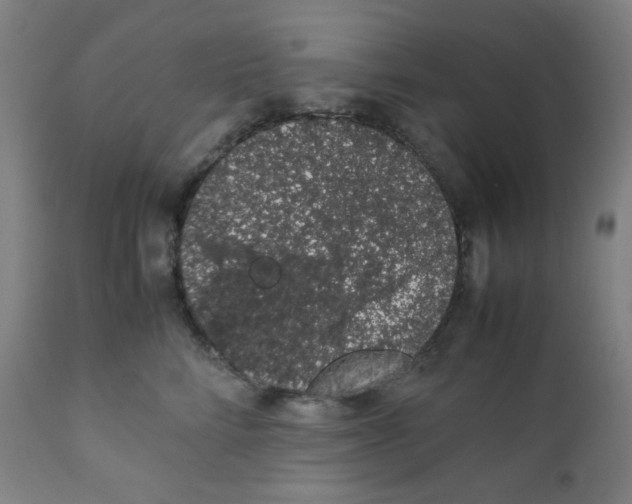 X0000111880712200908201257