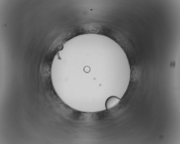 X0000111880713200908201257