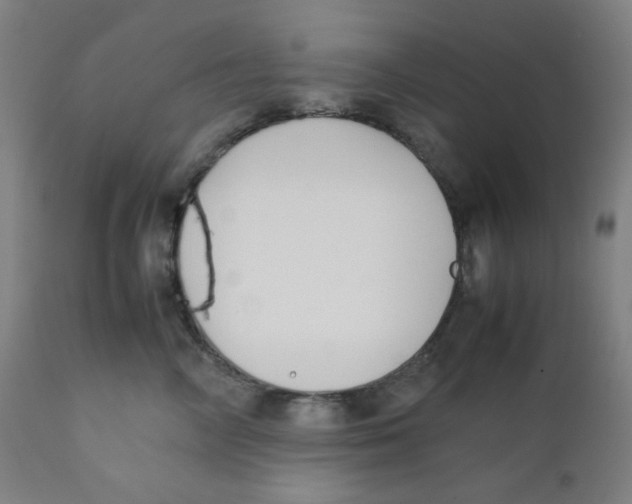 X0000111880714200908201257