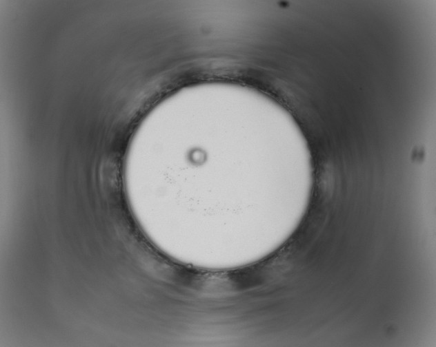 X0000111880715200908201257