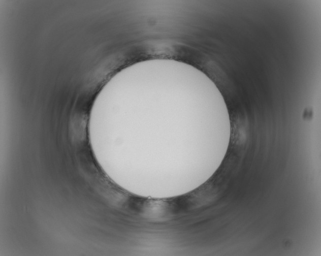 X0000111880717200908201257
