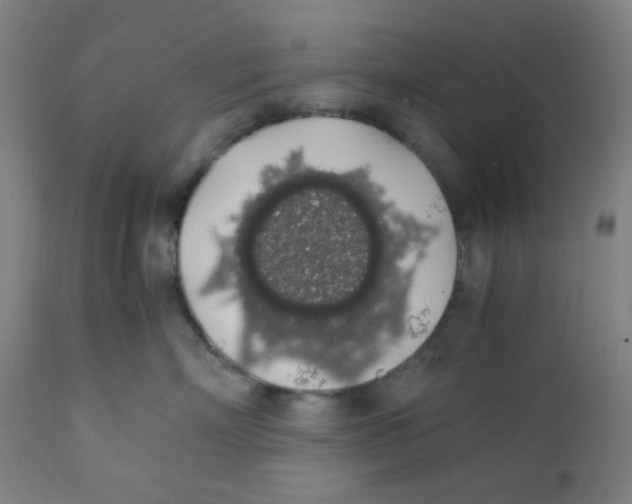 X0000111880718200908201257