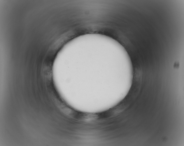 X0000111880719200908201257