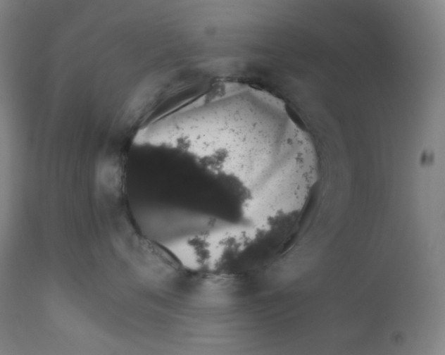 X0000111880720200908201257