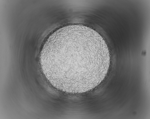 X0000111880721200908201256