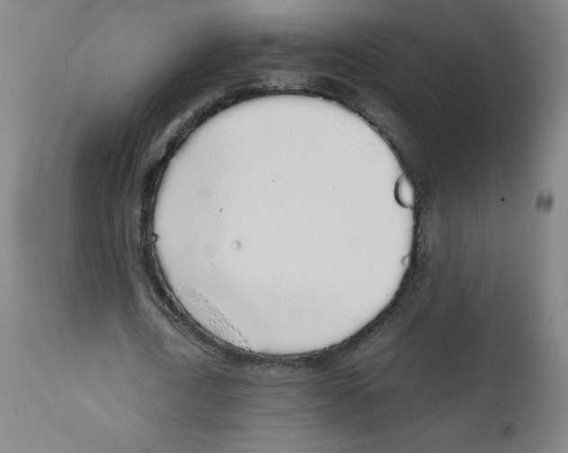 X0000111880722200908201256