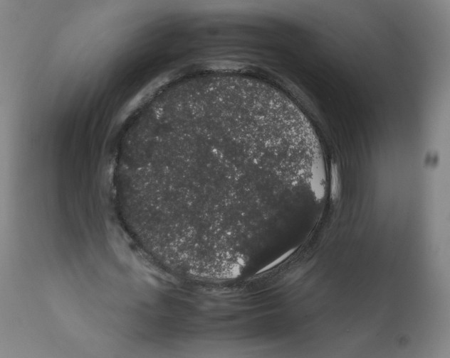 X0000111880723200908201256