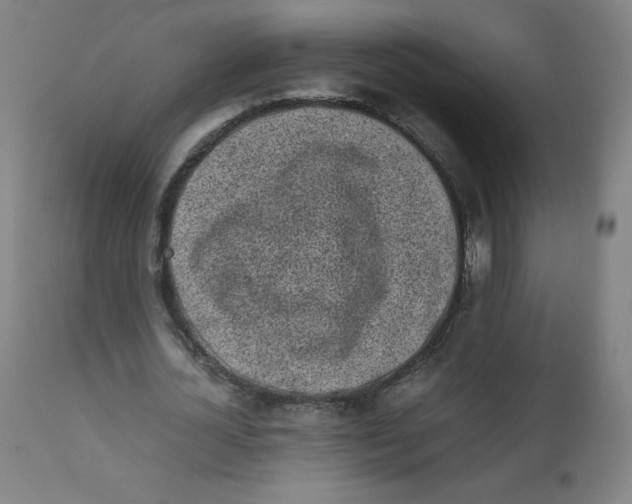 X0000111880724200908201256