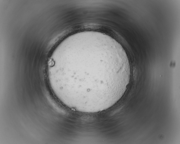 X0000111880725200908201256
