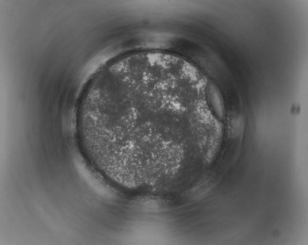 X0000111880726200908201256
