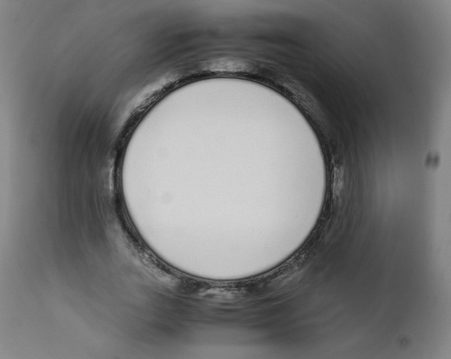 X0000111880727200908201256