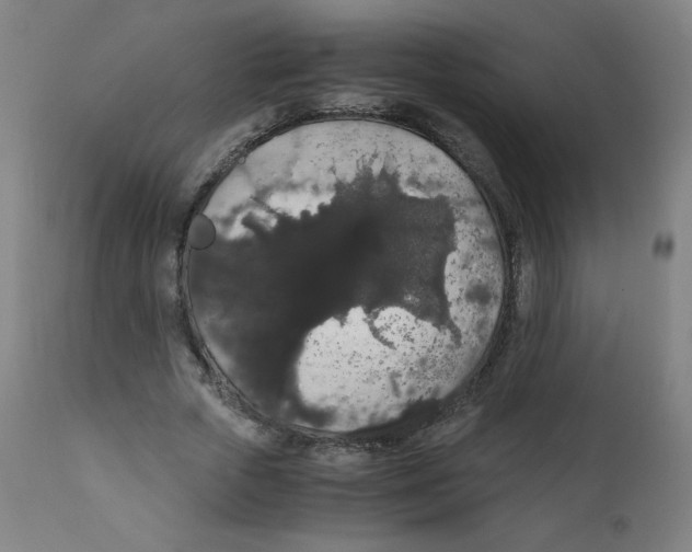 X0000111880729200908201256