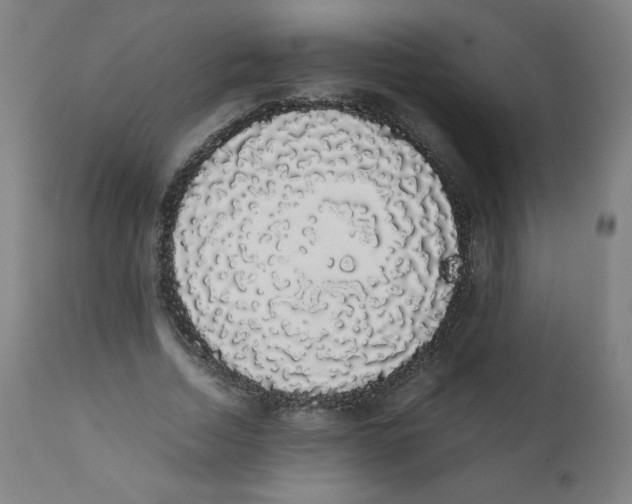 X0000111880730200908201256