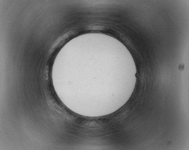 X0000111880731200908201256