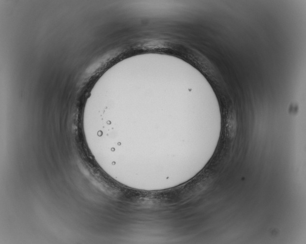 X0000111880732200908201256