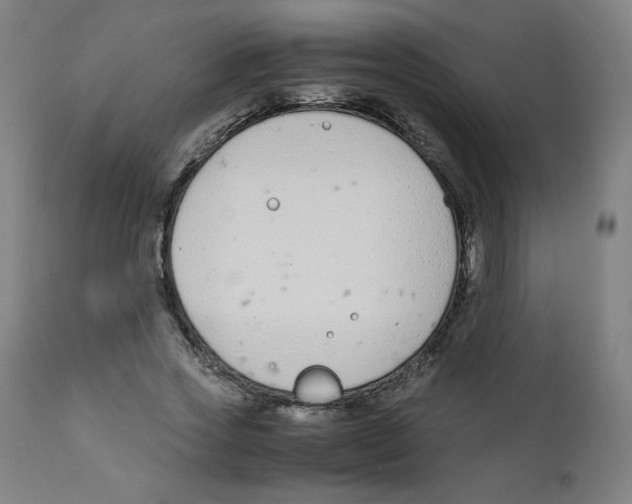 X0000111880733200908201256