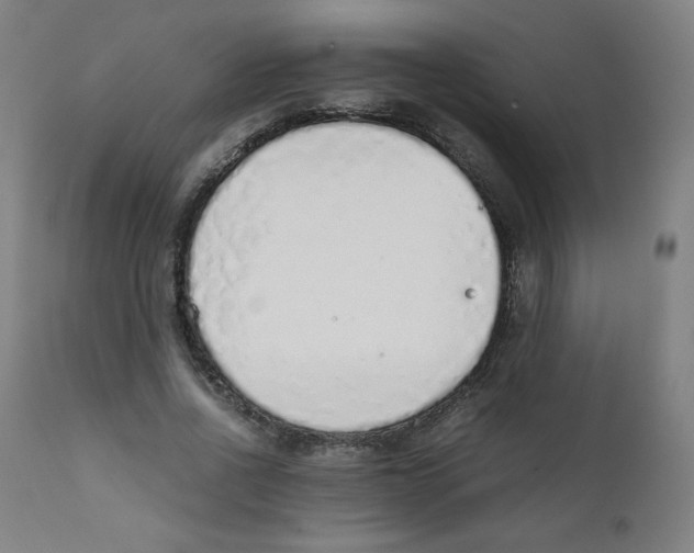 X0000111880734200908201256