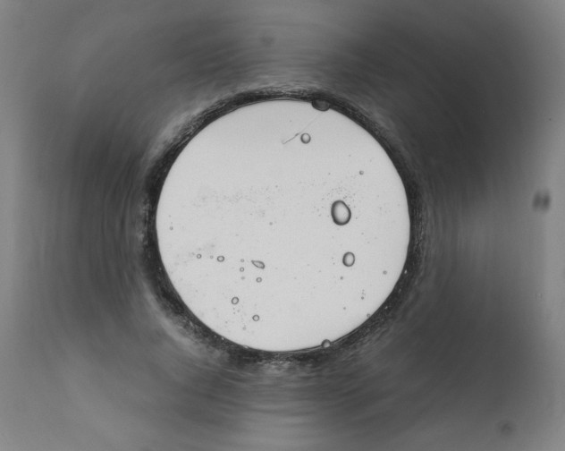 X0000111880736200908201256