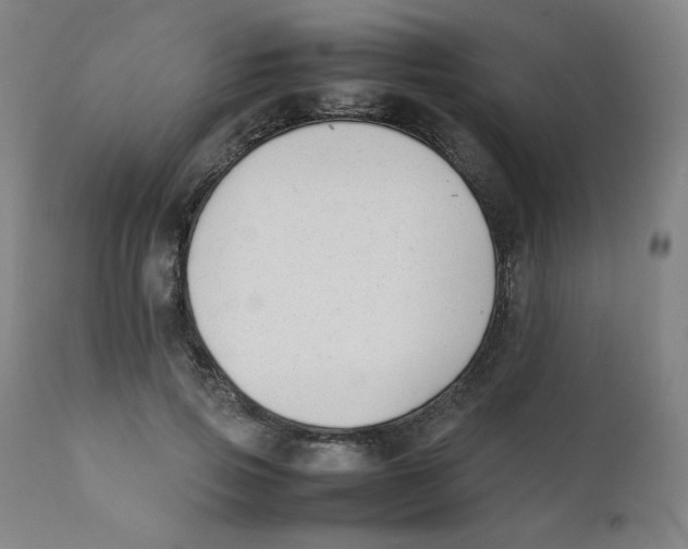 X0000111880741200908201257