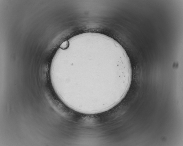 X0000111880742200908201257