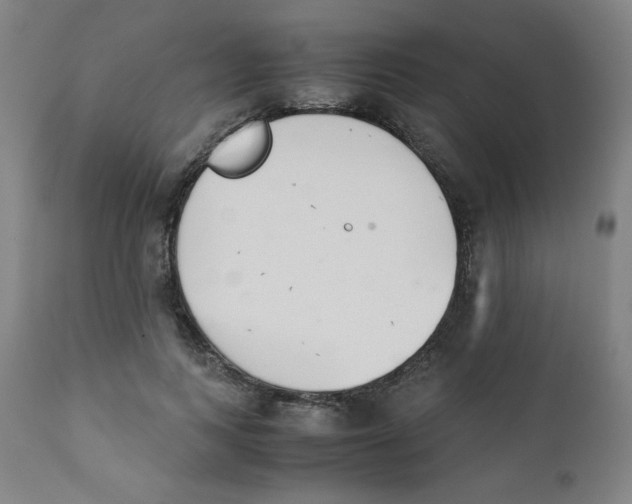 X0000111880743200908201257