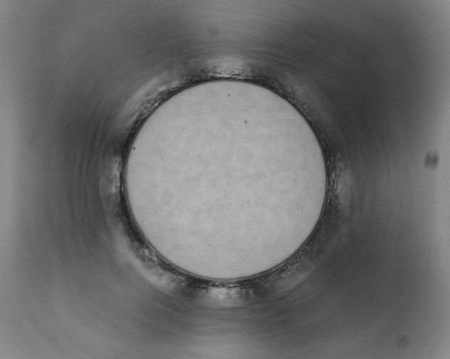 X0000111880744200908201257