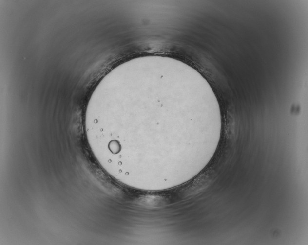 X0000111880748200908201257