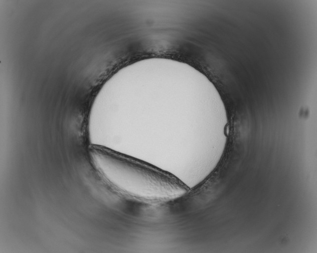 X0000111880750200908201257