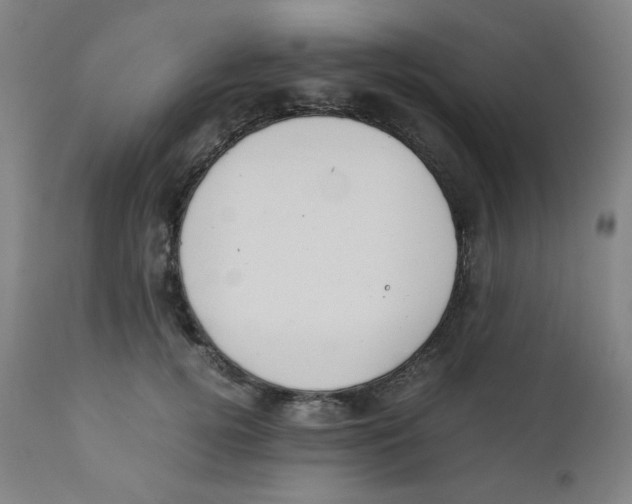 X0000111880752200908201257
