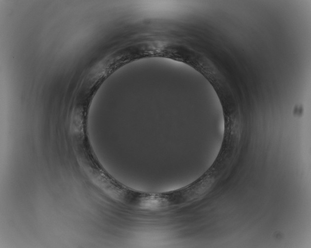 X0000111880754200908201257