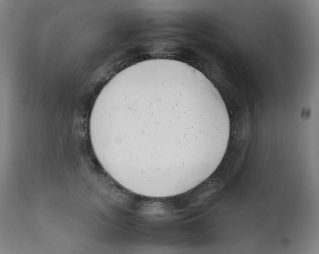 X0000111880755200908201257