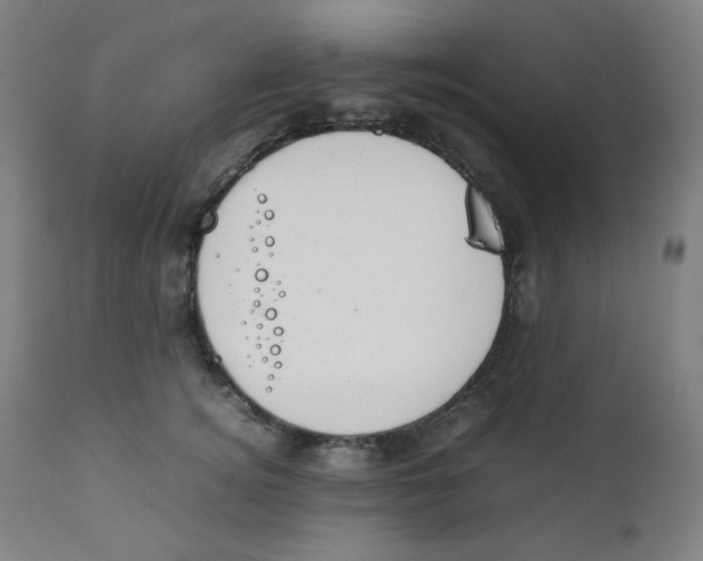 X0000111880756200908201257