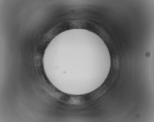 X0000111880757200908201257