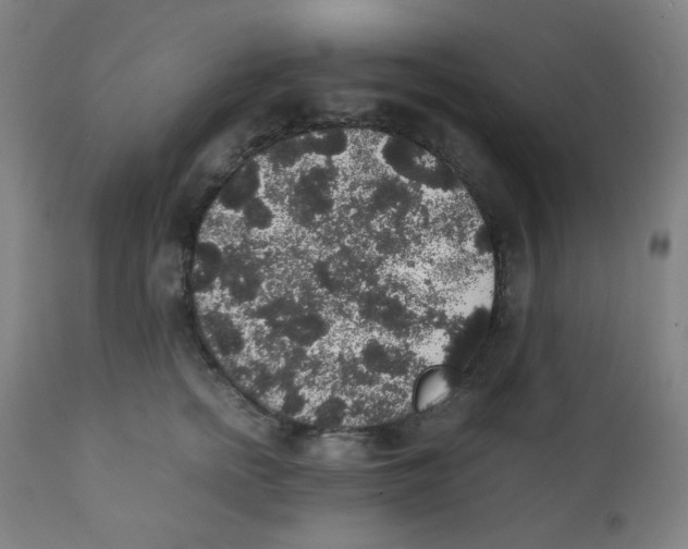 X0000111880758200908201257