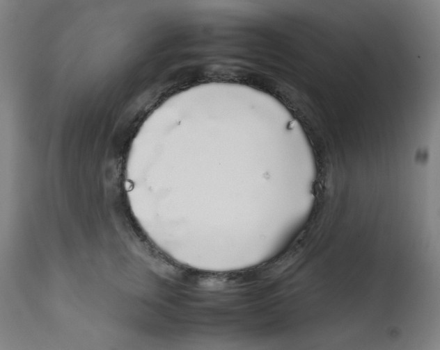X0000111880759200908201257