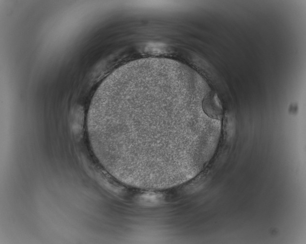 X0000111880760200908201257