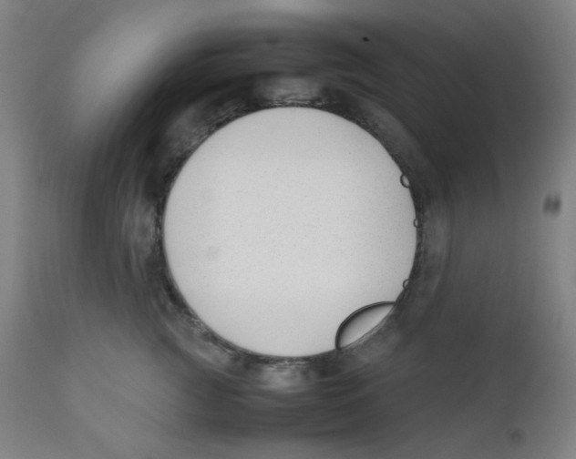 X0000111880761200908201257