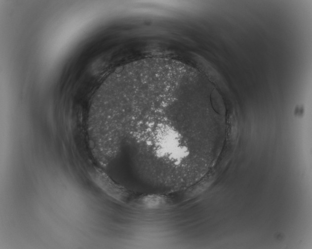 X0000111880762200908201257