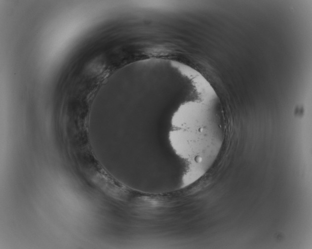 X0000111880763200908201257
