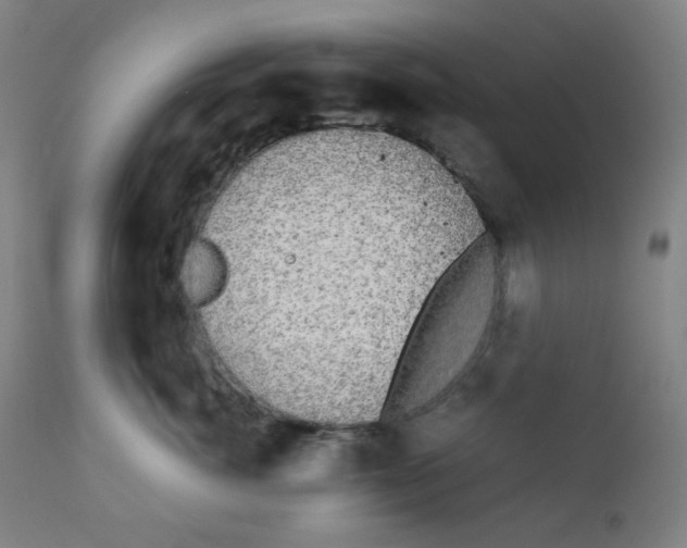 X0000111880764200908201257
