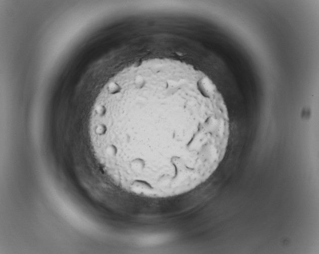 X0000111880765200908201257