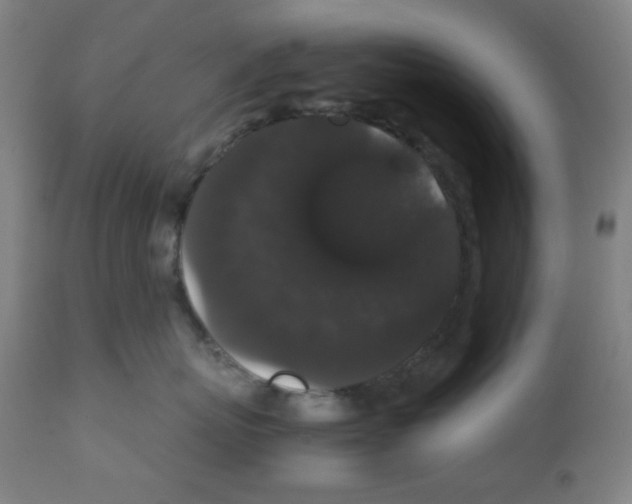 X0000111880767200908201257