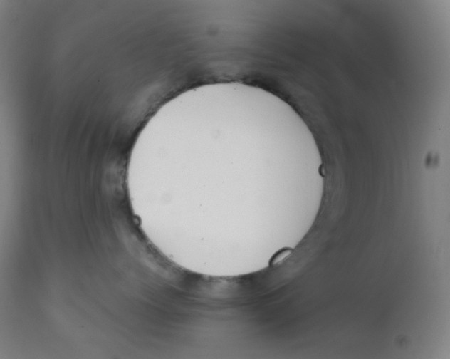 X0000111880768200908201257