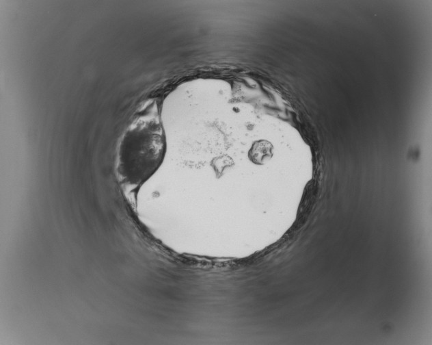 X0000111880769200908201256