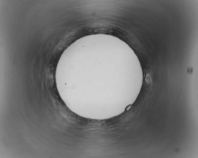 X0000111880771200908201256