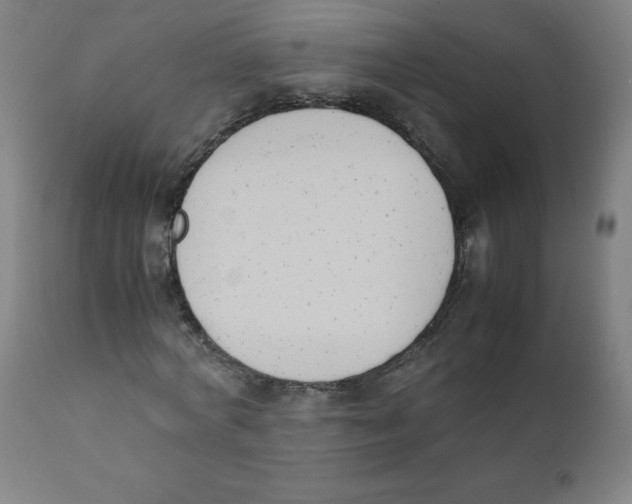 X0000111880772200908201256