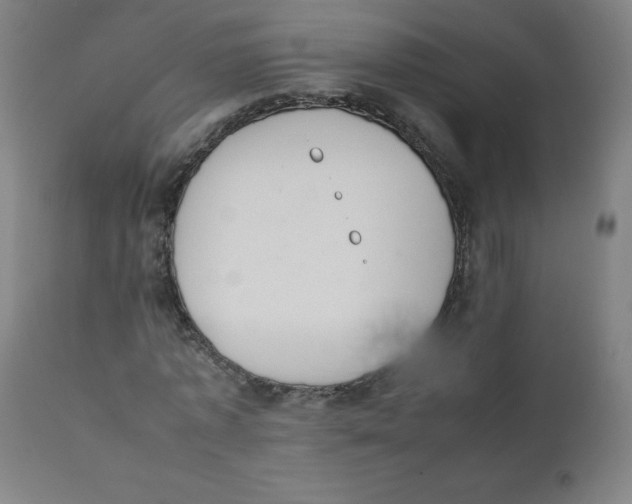 X0000111880773200908201256